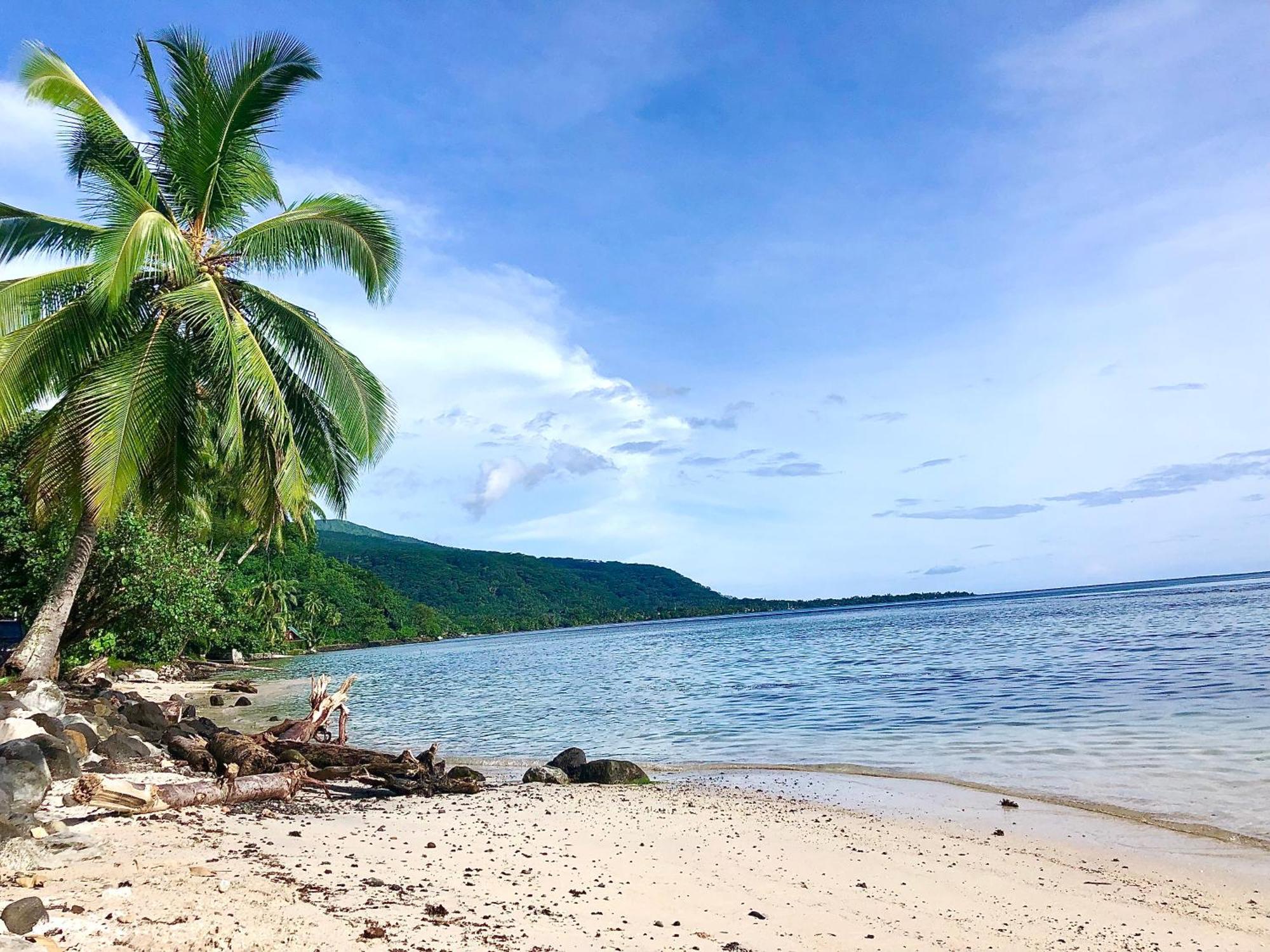 Maui Homestay Vue Ocean Exceptionnelle & Baleines En Saison Tohautu エクステリア 写真