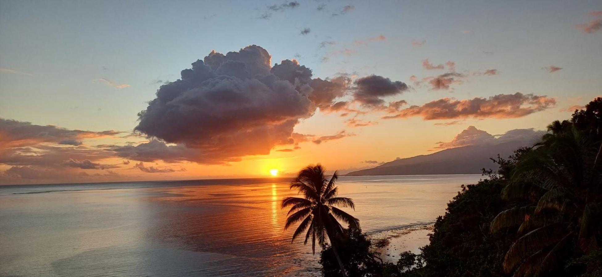 Maui Homestay Vue Ocean Exceptionnelle & Baleines En Saison Tohautu エクステリア 写真